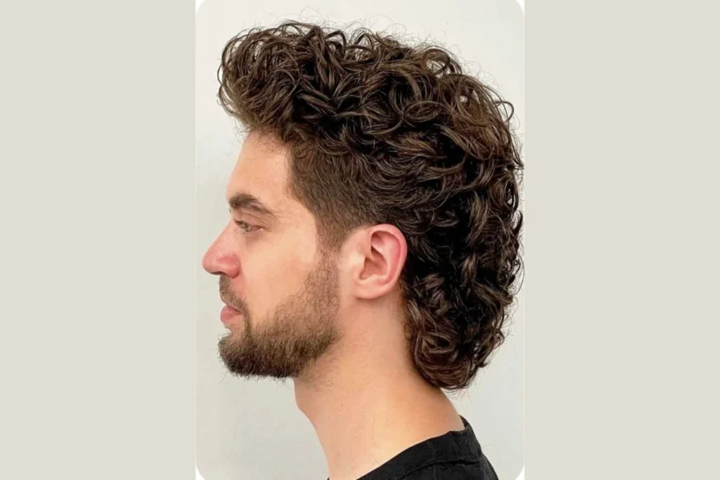 Corte de cabelo mullet masculino: 41 inspirações, como funciona, como escolher 48 Corte de cabelo mullet em fios cacheados
