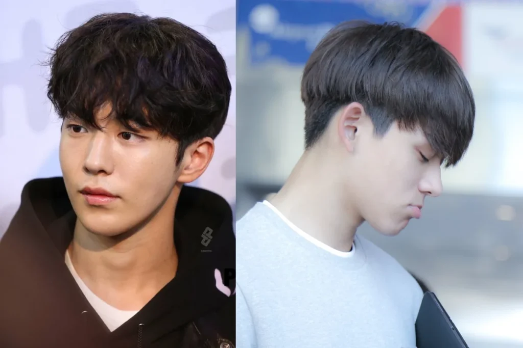 Corte coreano